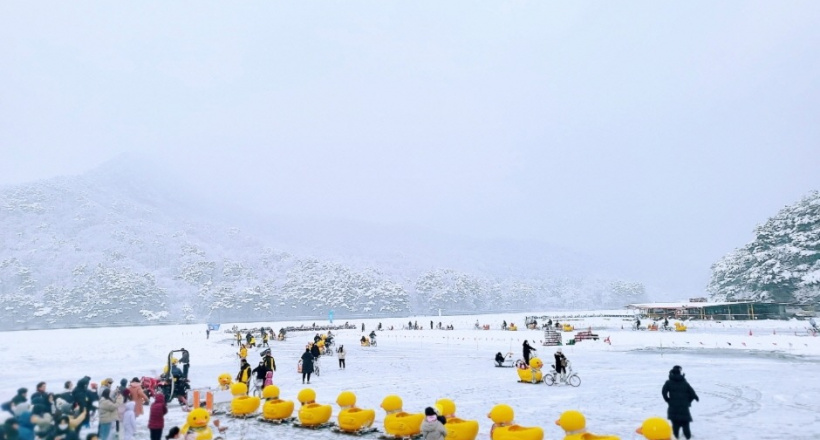 Top 4 lễ hội mùa đông Hàn Quốc hấp dẫn nhất