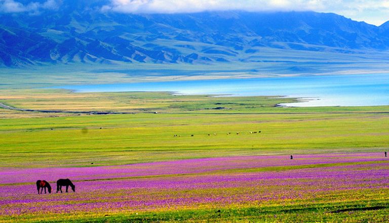 Trải nghiệm mùa hè rực rỡ với tour Bắc Tân Cương trọn gói