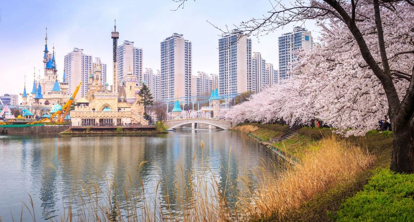 Top khách sạn Seoul thuận tiện ngắm hoa anh đào đẹp nhất 2026