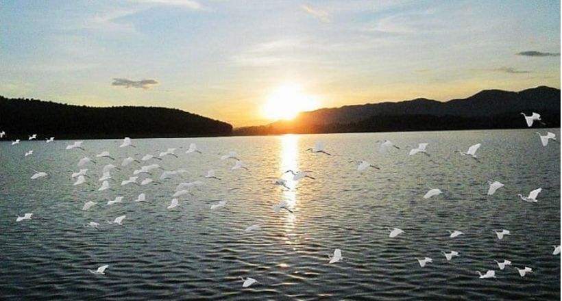 Yên Thành “quê lúa” với những điểm đến du lịch tâm linh và sinh thái trải nghiệm hấp dẫn