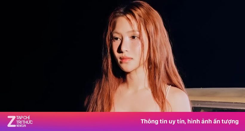 Ai đứng sau 25.000 lượt phẫn nộ nhắm vào Hương Tràm