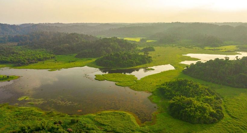 Vườn quốc gia Cát Tiên: Trường ca của rừng già
