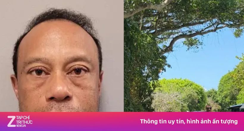 Tiger Woods lên tiếng sau khi bị bắt
