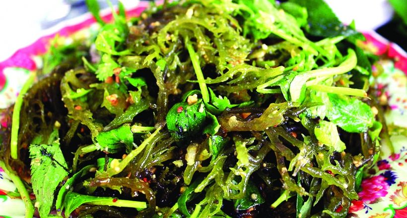 Rau cum cúm Lý Sơn – “lộc trời” giòn mát giữa biển khơi