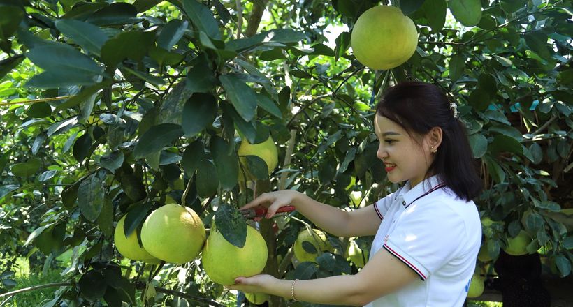 Nông thôn mới Hà Tĩnh: Điểm tựa hội nhập và cất cánh