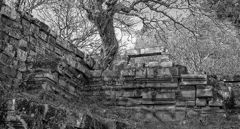 Triển lãm Inscape: Những nội cảnh mở ra từ thế giới hữu hình của Tom Hricko