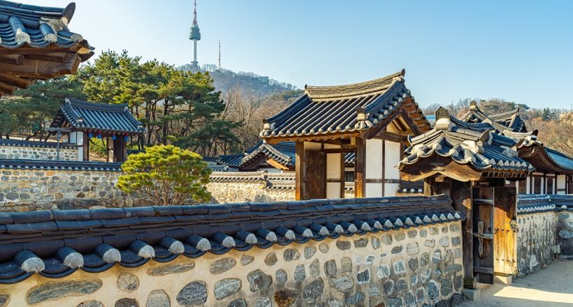 Top 9 tour Hàn Quốc tuyến Seoul – đảo Nami được yêu thích nhất 2026