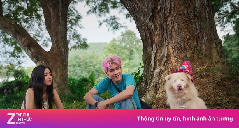 Phim ngoại bất ngờ đẩy lùi loạt phim Việt ở phòng vé