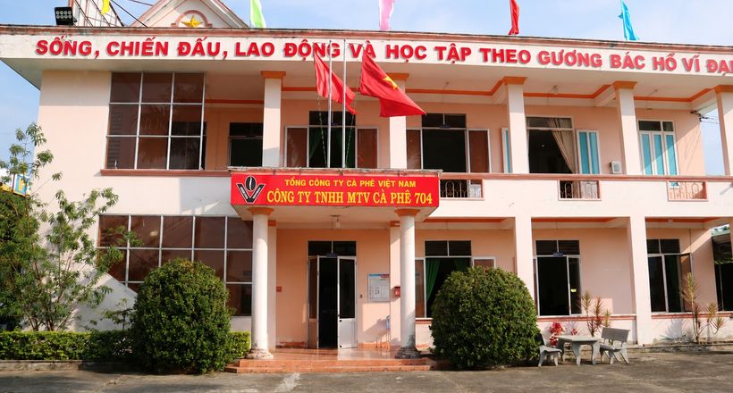 Công ty Cà phê 704: Khẳng định vị thế qua sự đổi mới và quản trị hiệu quả