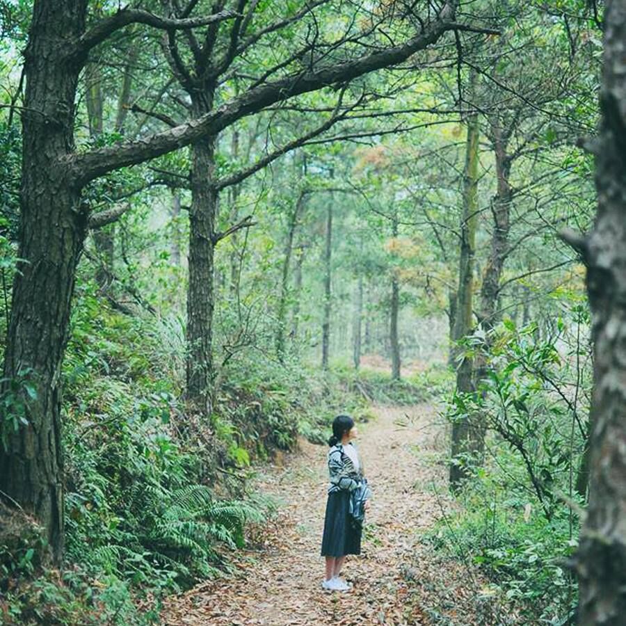Địa điểm du lịch gần Hà Nội trong 1 ngày: Sống ảo ở My Hill