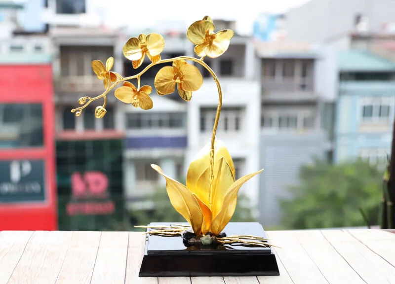 Một chậu hoa lan hồ điệp mang đến vẻ đẹp kiêu sa, quý phái. Với những người Mẹ thích sưu tập hoa, những món quà này sẽ theo mãi bên mẹ bởi tuổi thọ của “những cành vàng” này là trường tồn và vĩnh cửu.