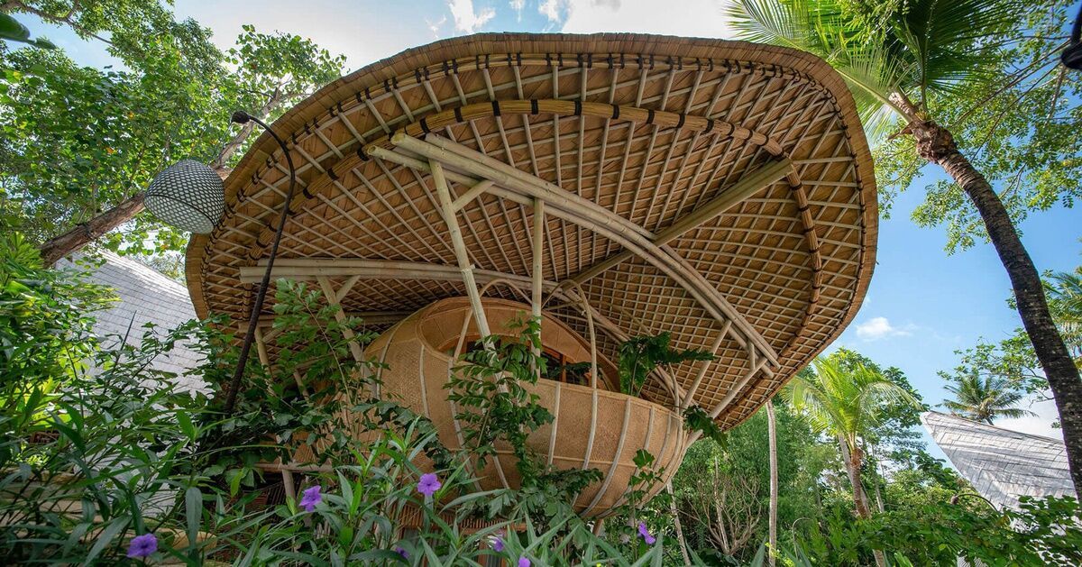 Khu nghỉ dưỡng toàn gỗ ở Bali - 2