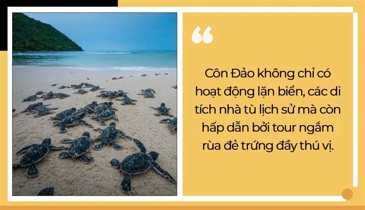 Mấy ai biết tên gọi Côn Đảo có nguồn gốc từ nước ngoài với ý nghĩa khá lạ - 5