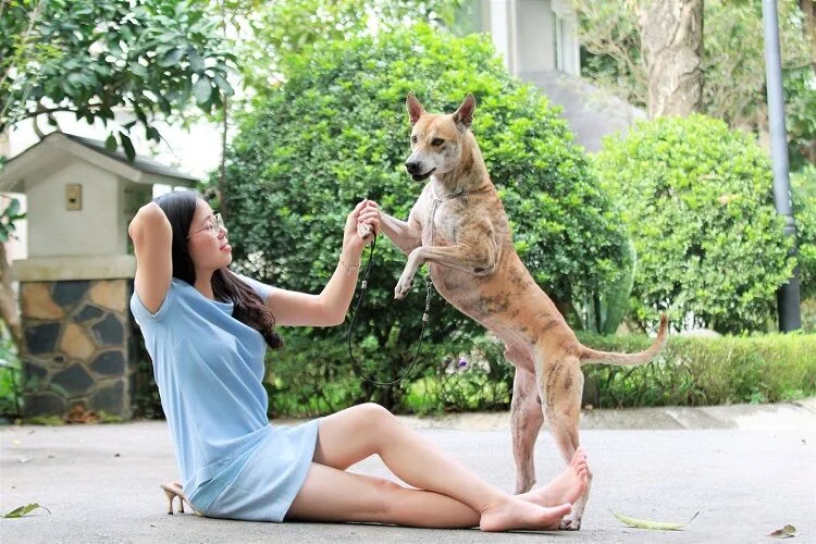 Choáng ngợp những bộ sưu tập thú cưng siêu đắt đỏ của đại gia Việt - 7