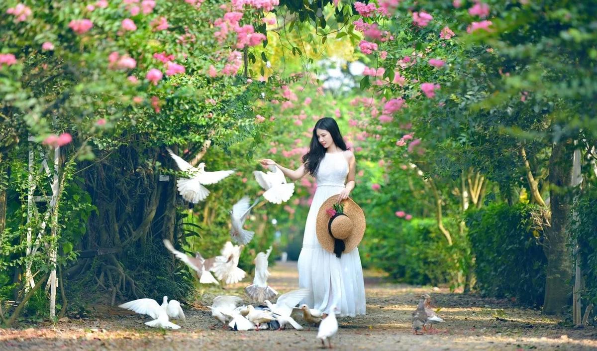 Mê mẩn đường hoa tường vi, đẹp tựa vườn thượng uyển ở trời Âu - 3