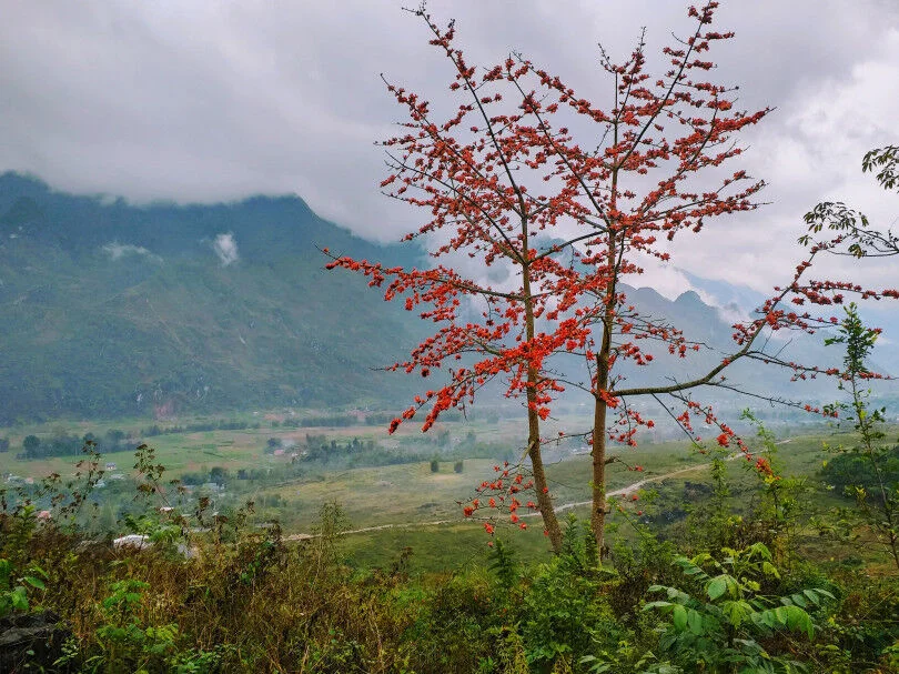 Nặm Đăm - bản làng ngủ quên dưới chân Cổng Trời - 9