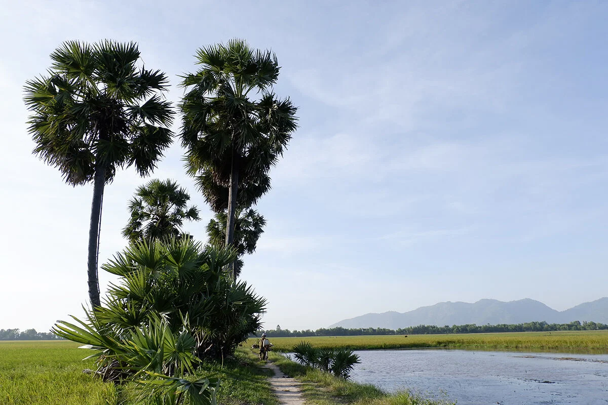An Giang vào mùa nước nổi – Mùa du lịch đẹp nhất trong năm - 6