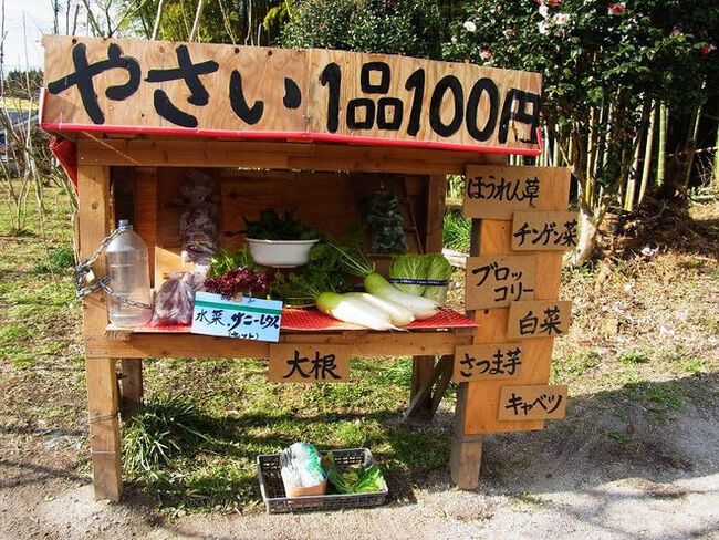 Người Nhật Bản có đức tính gì khiến thế giới luôn ngưỡng mộ?-17