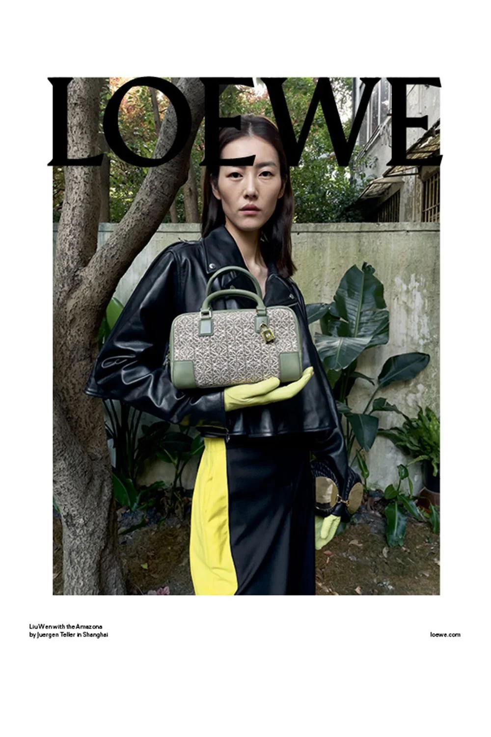 loewe