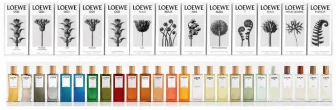 Loewe
