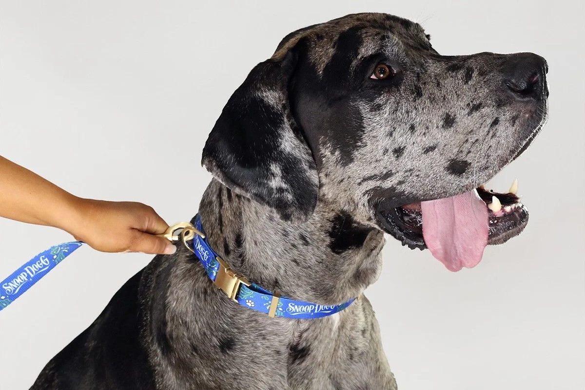 Snoop Doggie Doggs