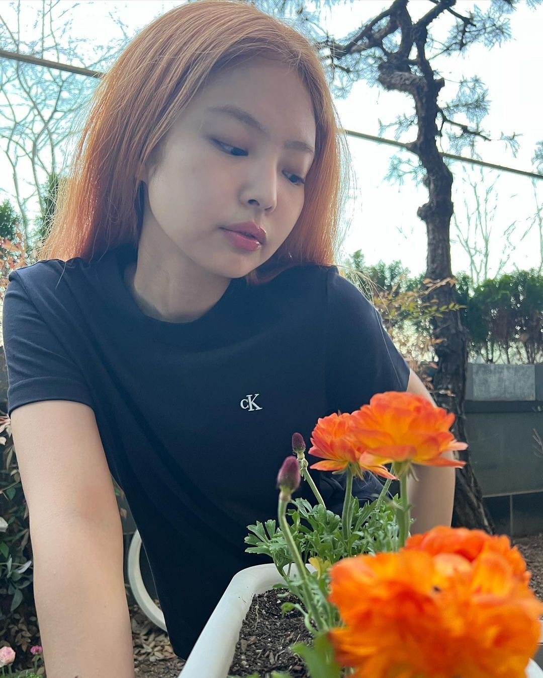 jennie blackpink