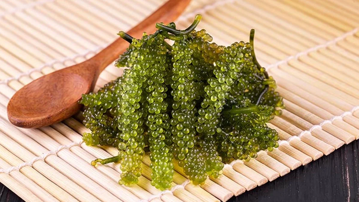 món-ăn-đảo-Phú-Quý-ivivu12