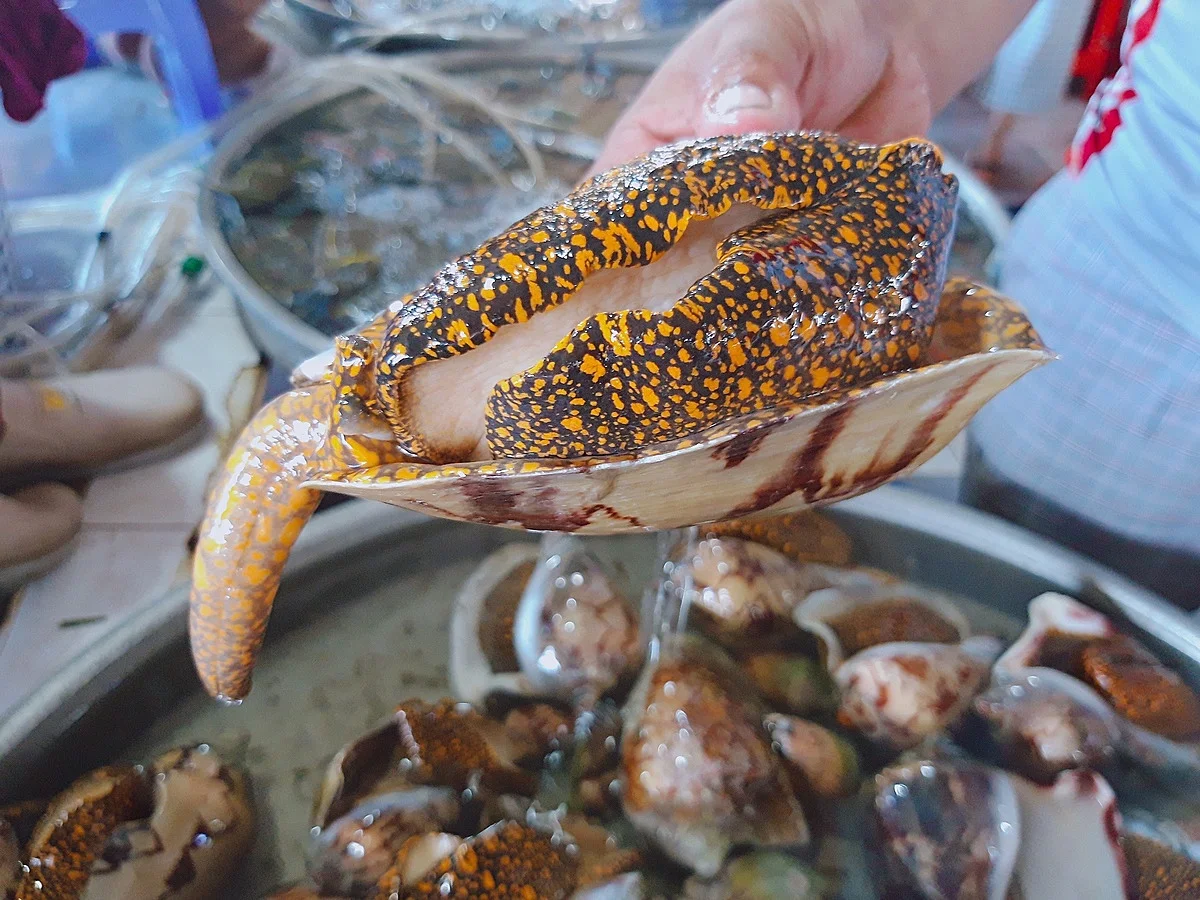 món-ăn-đảo-Phú-Quý-ivivu7