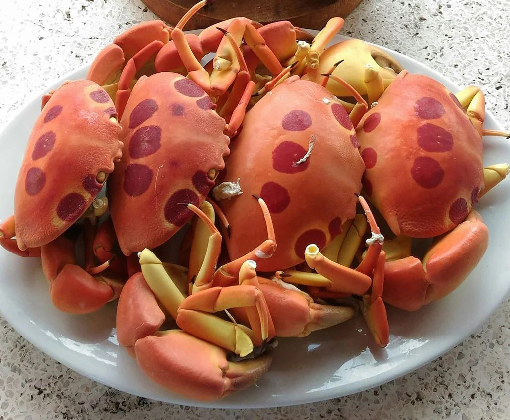món-ăn-đảo-Phú-Quý-ivivu