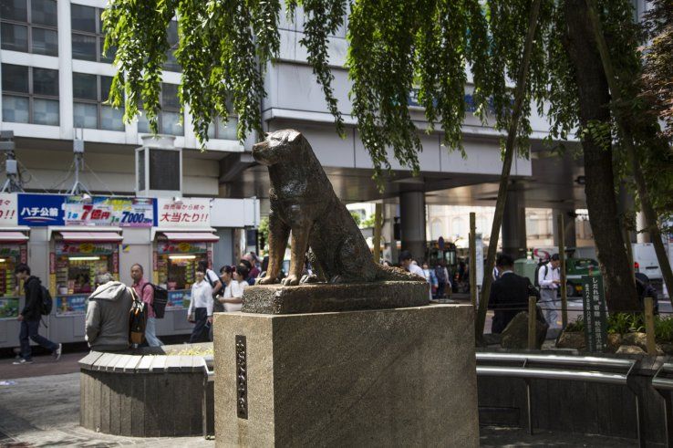 tour-nhat-ban-5n4d-ivivu-19
