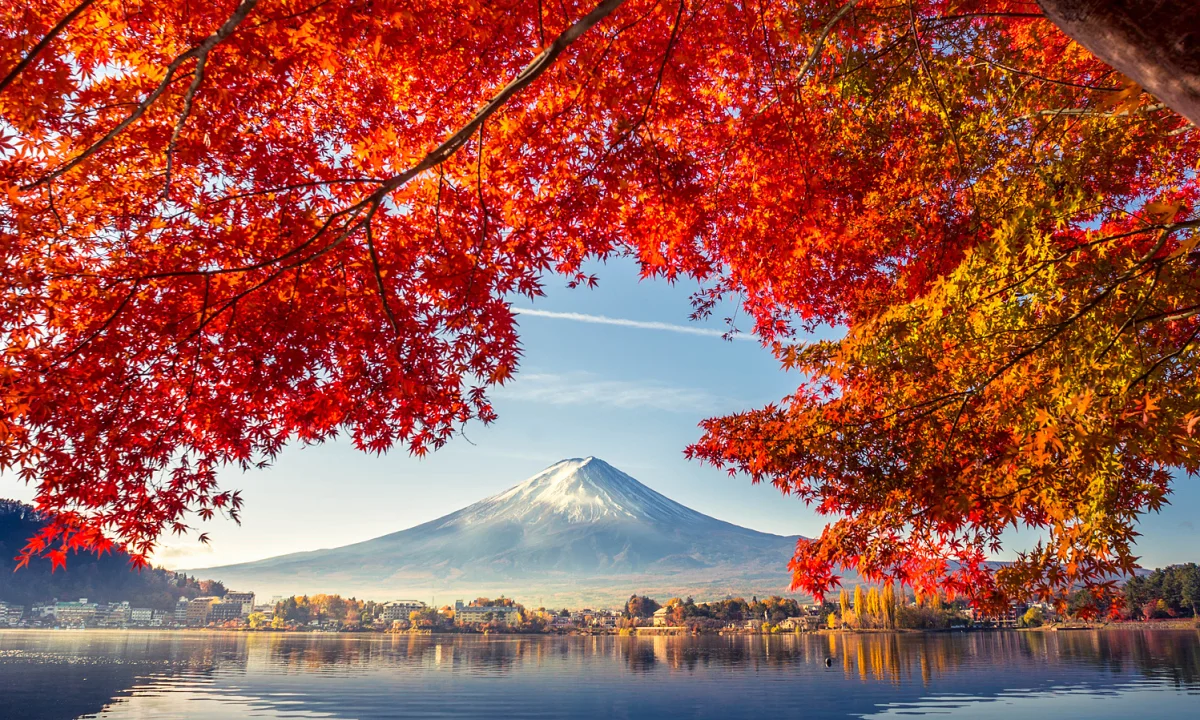 Colorful Autumn Season and Mountain Fuji with morning fog and red leaves at lake Kawaguchiko is one of the best places in Japan
