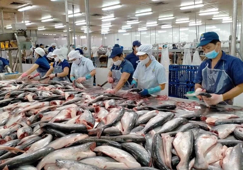 doanh-nghiep-thuy-san-da-khai-thac-duoc-thi-truong-evfta-20231006115906.jpg?rt=20231101163737