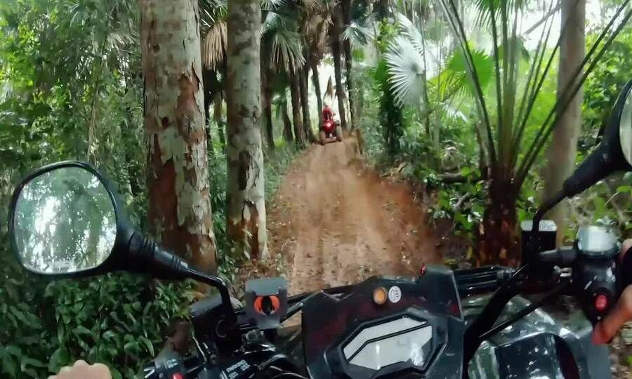 Khám phá rừng lim bằng xe ATV