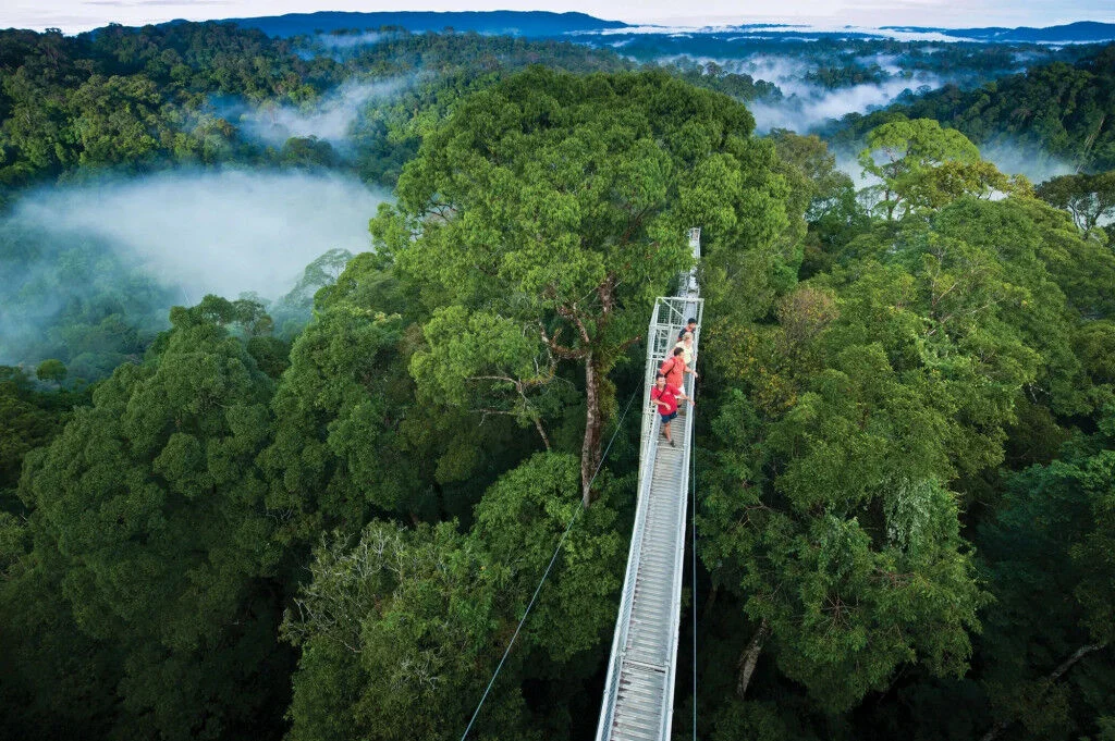 Ulu Temburong ivivu 1