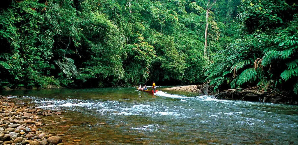 Ulu Temburong ivivu 4