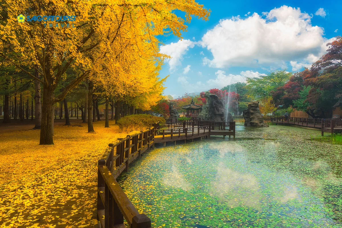 Saigontourist - Ngắm mùa thu tuyệt đẹp trên đảo Nami, Hàn Quốc