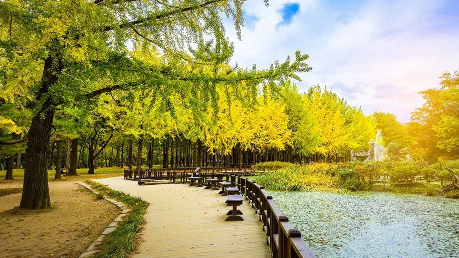 Chiêm ngưỡng thiên nhiên tươi đẹp bốn mùa trong tour du lịch Hàn Quốc