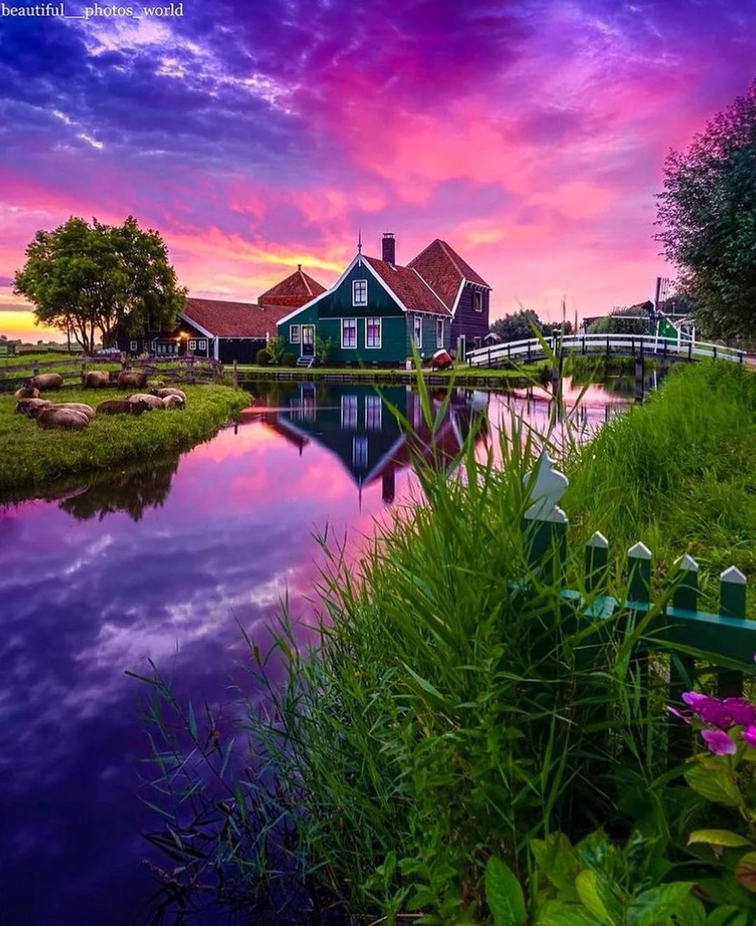 Zaanse-Schans-ivivu-5