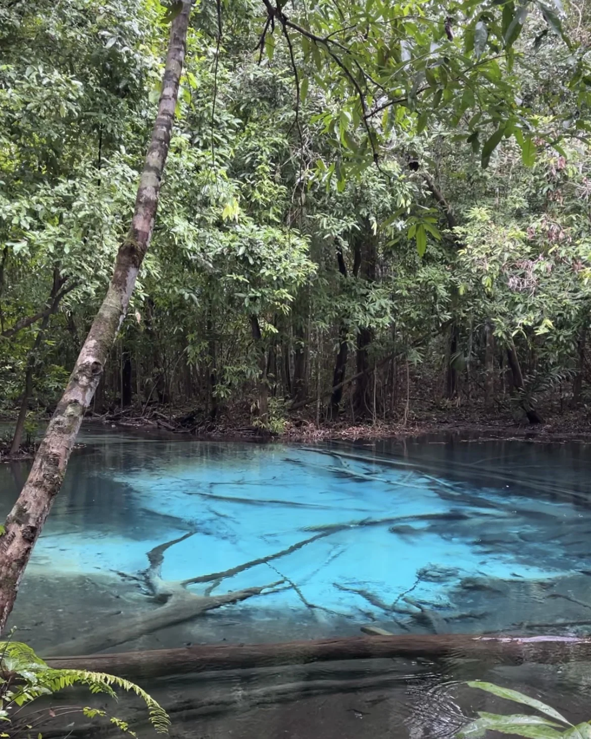 du lịch krabi hồ nước xanh