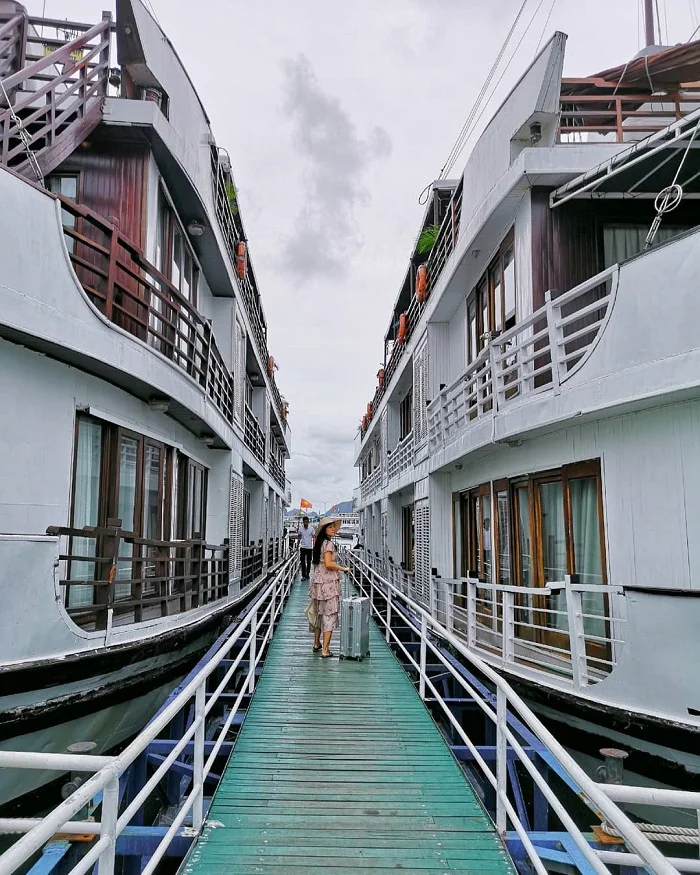 Pelican chính thức đi vào hoạt động từ năm 2012. Ảnh: Instagram @phynixlee