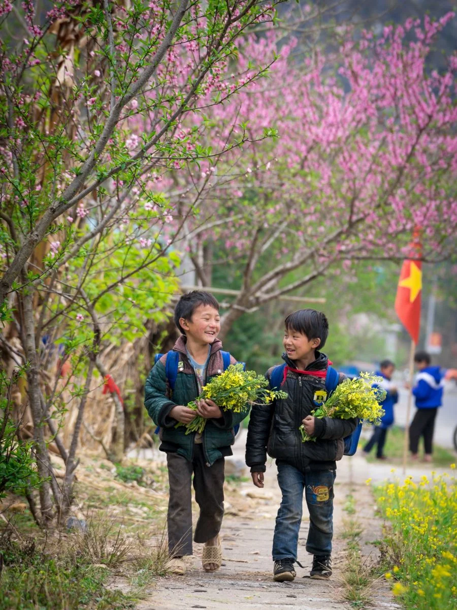 Du lịch Tết 2024: Gợi ý 3 địa điểm và hành trình du lịch miền Bắc hấp dẫn