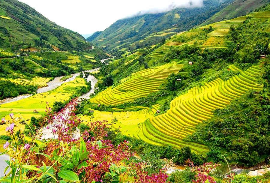 Du lịch Hạ Long