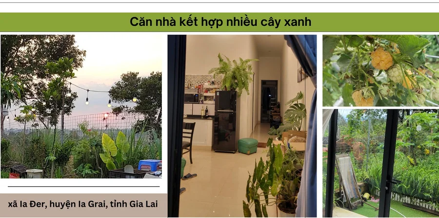 Không gian sống xanh