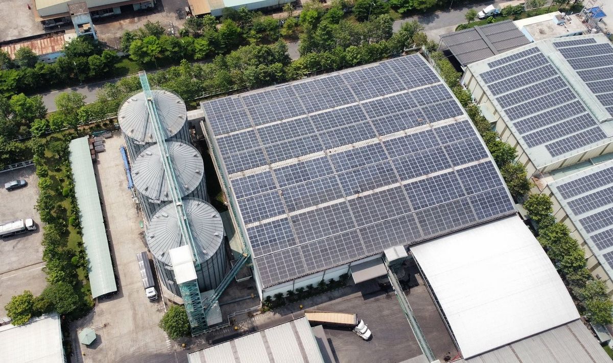 Greenfeed Vietnam