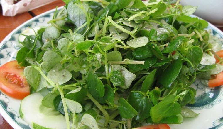 Rau này là thuốc hạ đường huyết tự nhiên, tiêu diệt tế bào ung thư