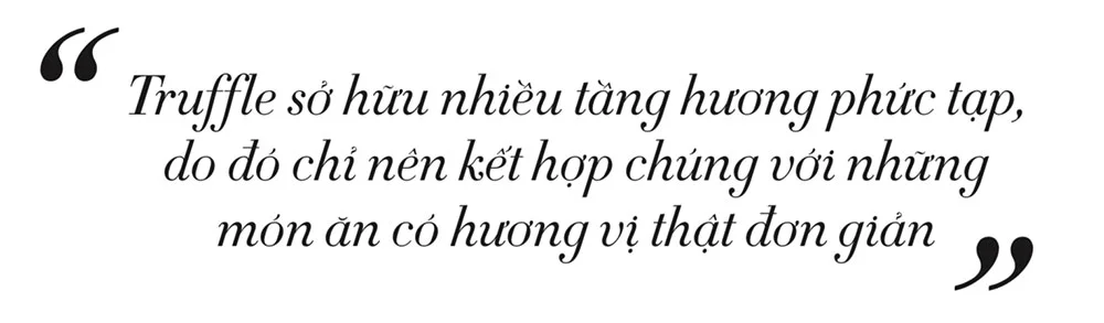 Nấm Truffle là gì và vì sao món ăn này đắt hơn vàng?