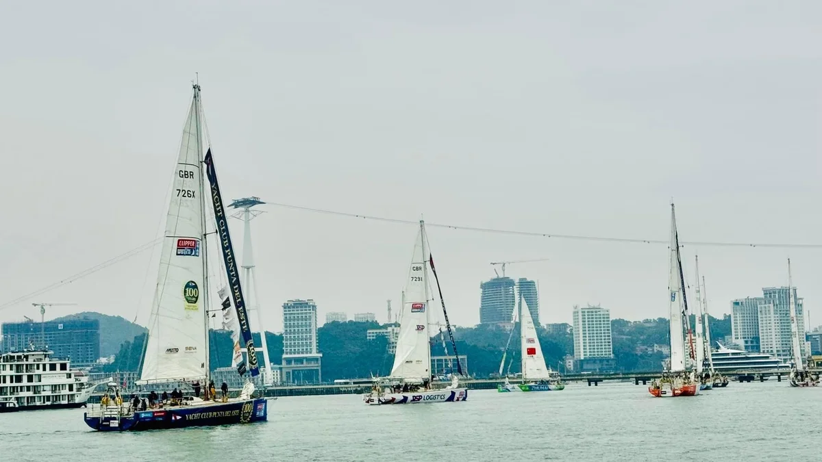 Đoàn đua thuyền buồm Clipper Race