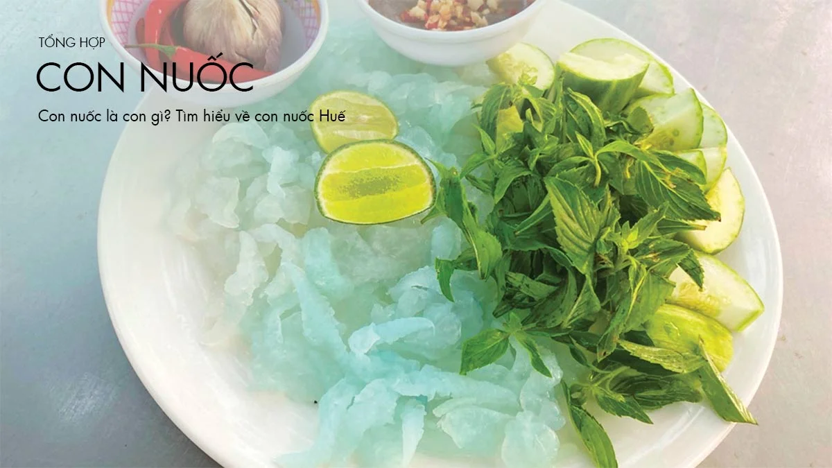 Con nuốc là con gì? Tìm hiểu về con nuốc Huế