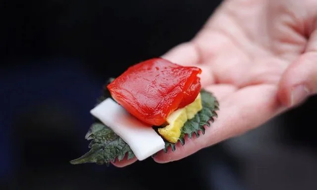 sứa đỏ
