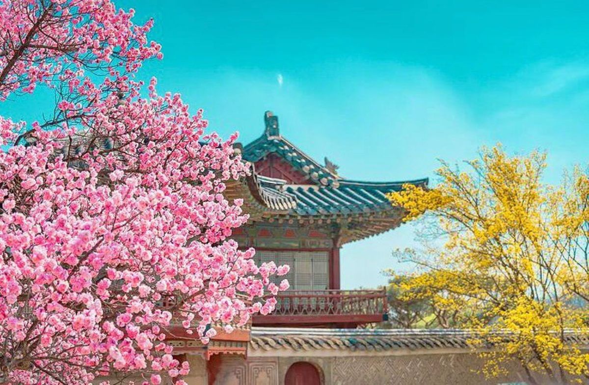 Cách tham quan 5 cung điện nổi tiếng ở Seoul miễn phí